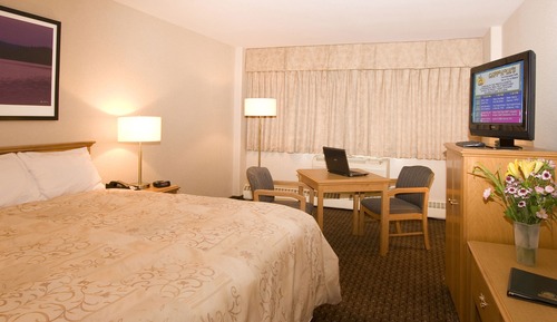 Executive Single Room, 1 King Bed, Non Smoking