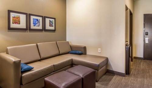 Suite, 1 King Bed with Sofa bed, Accessible, Non Smoking (Roll-In Shower)