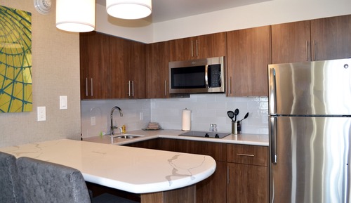 Studio Suite, 1 Queen Bed, Kitchen