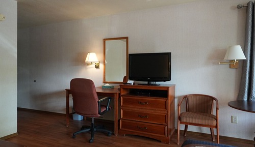 Standard Room, 1 King Bed, Refrigerator & Microwave, Courtyard View (pet friendly)