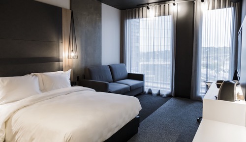 Room, 1 Queen Bed with Sofa bed
