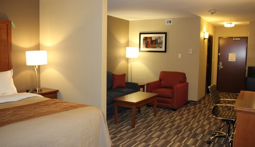 Executive Suite, 1 King Bed with Sofa bed, Non Smoking