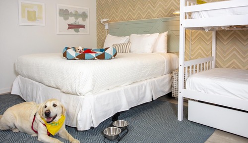 Room, Multiple Beds, Mobility Accessible (Cove | Bunk bed)