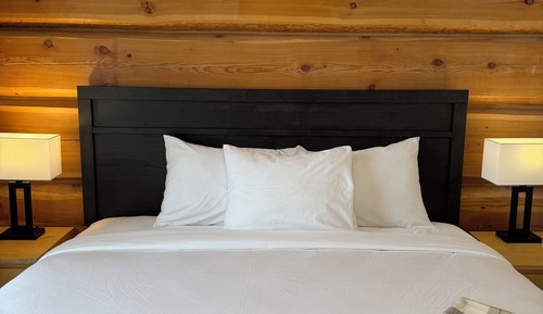 Room, 1 King Bed