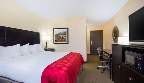 Suite, 1 King Bed, Non Smoking (Dog-Friendly)