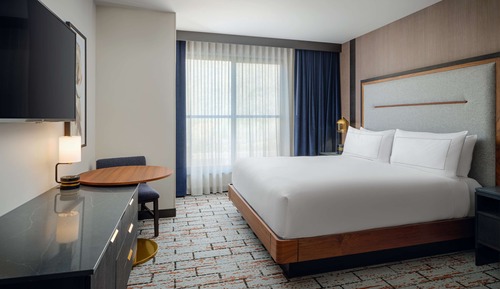 Room, 1 King Bed