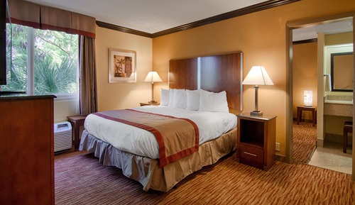 Suite, 1 King Bed, Accessible, Bathtub (with Sofabed)