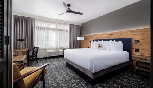 Room, 1 King Bed