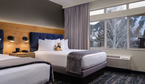 Suite, 1 Bedroom, 2 Queen Beds