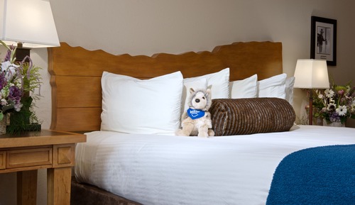 Room, 2 Queen Beds, Connecting Rooms, Courtyard Area (Stair Access Only)