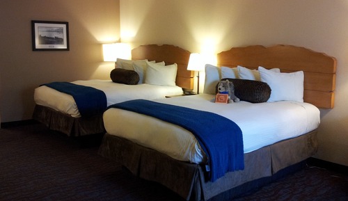 Room, 2 Queen Beds, Courtyard Area