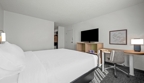 Room, 1 King Bed