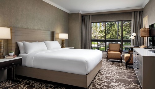 Room, 1 King Bed
