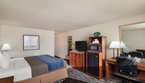 Room, 1 King Bed, Non Smoking