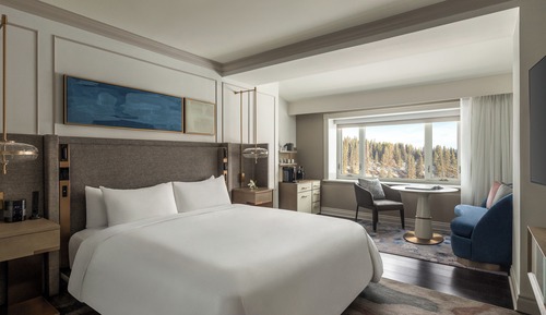 Deluxe Room, 1 King Bed, Roll-in Shower