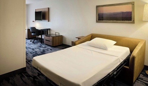 Studio, 1 King Bed with Sofa bed