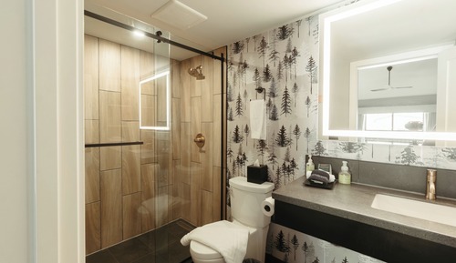 King Loft Suite (No Pets, Spa Not Included)