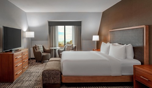 Room, 1 King Bed, Accessible (Mobility, Roll-in Shower)