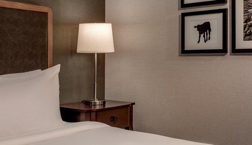 Suite, 1 King Bed with Sofa bed (Tub\Shower)