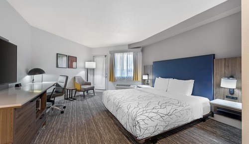 Standard Room, 1 King Bed, Accessible, Patio