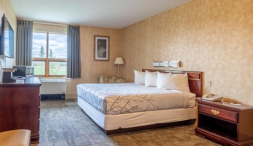 Room, 1 Queen Bed (No Pets Allowed)