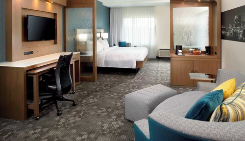 Room, 1 King Bed with Sofa bed, Hearing Accessible (Accessible Bathtub)