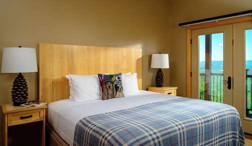 One Bedroom Suite