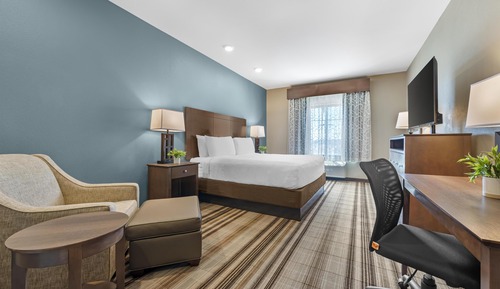 Standard Room, 1 King Bed, Non Smoking, Refrigerator & Microwave