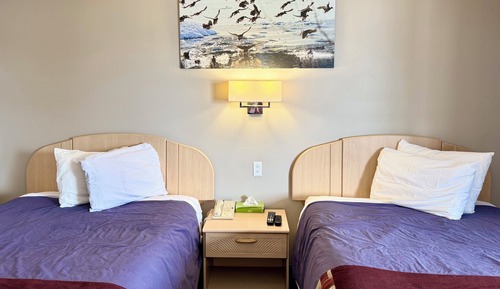 Standard Double Room, 2 Double Beds, Non Smoking