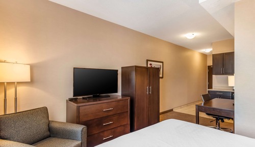 Standard Room, 1 King Bed, Accessible, Kitchenette (Walk-in Shower;with Sofabed)