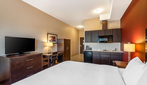 Standard Room, 1 King Bed, Non Smoking, Kitchen (Larger Room;with Sofabed)
