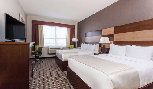 Premium Room, 2 Queen Beds, Non Smoking (Pet-Friendly)