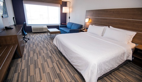 Suite, 1 King Bed with Sofa bed
