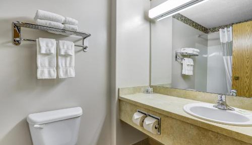 One-Bedroom Queen Suite