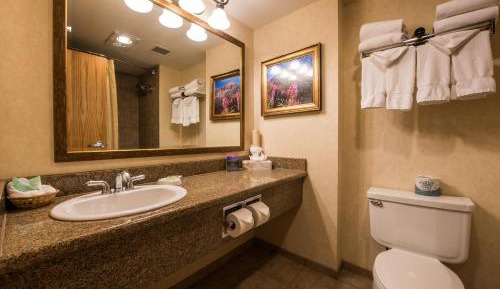 One-Bedroom Condo - Whetstone Queen Room