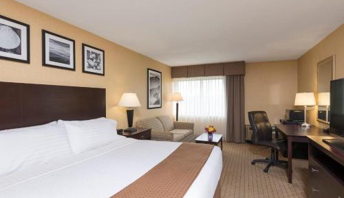 Standard King Room