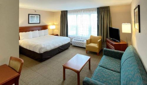 King Studio Suite