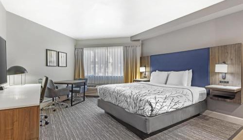 Queen Room with Kitchenette - Non-Smoking