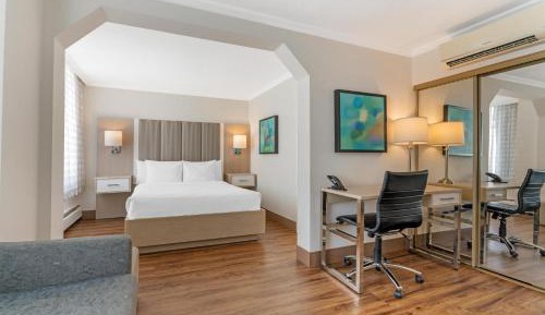 Junior Queen Suite with Sofa Bed