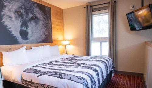 Superior Loft Suite