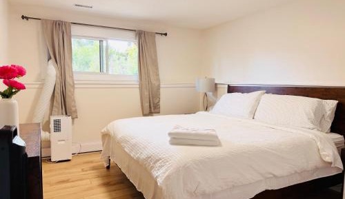Deluxe King Suite