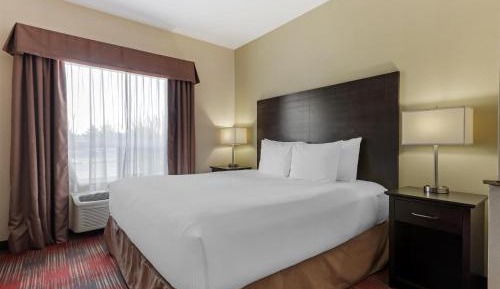 Mini King Suite with Sofa Bed - Non-Smoking