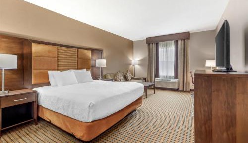 King Room with Mobility Accessible Roll-In Shower and Sofa Bed
