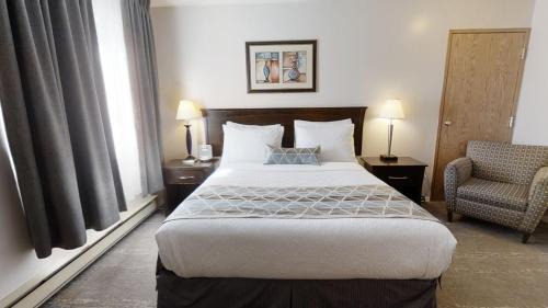 Standard Room, 1 Queen Bed (Non-Pet Friendly)