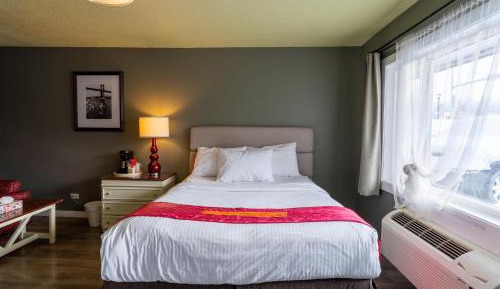 Standard Queen Room