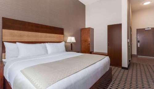 Premium King Room - Pet-Friendly/Non-Smoking