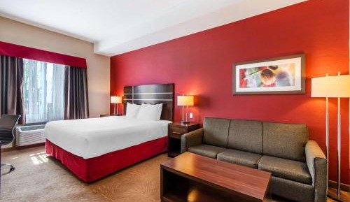King Room with Sofa Bed and Walk-In Shower - Kitchenette/Mobility Accessible
