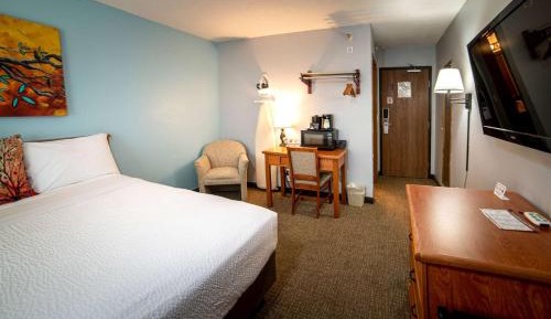 King Room - Mobility Access/Non-Smoking