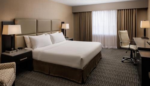 Standard King Room