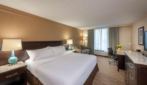 King Room with One King Bed